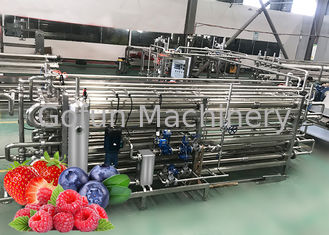 Berry Paste Pulp Industrial Pasteurizer สายการผลิตแบบครบวงจร Easy Clean
