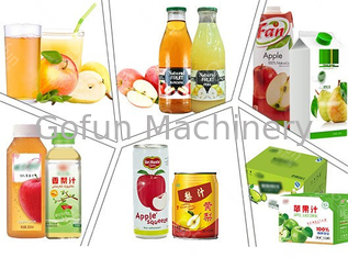 SUS 304 Apple Juice สายการผลิตแบบครบวงจรโครงการอัตโนมัติ