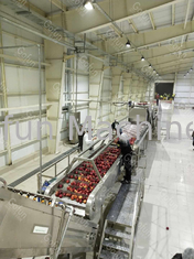 เครื่องแปรรูปน้ำผลไม้แอปเปิ้ลควบคุมด้วย PLC อัตโนมัติ 0.5T / H - 30T / H