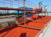 SS306 Complete Tomato Processing Line High Efficiency 1500T/D
