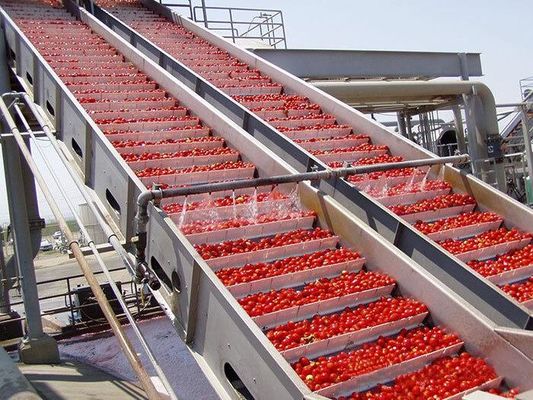 Turnkey Solution Vegetable Processing Line Safety For Industrial Usage