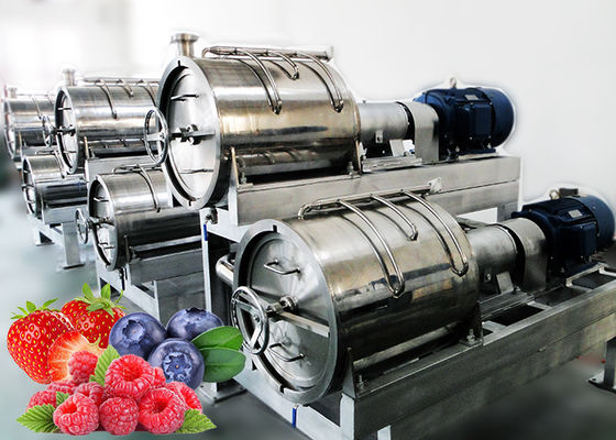 Professional Berry Processing Equipment / Fruit Jam Processing Machinery