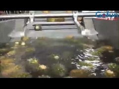 สายการแปรรูปปานนาสที่มีผลผลผลิตสูง เพื่อผลิตน้ําผึ้งและอื่นๆ