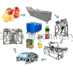 สายการผลิตน้ำแอปเปิ้ล NFC อุตสาหกรรมเครื่องแปรรูปน้ำผลไม้ HPP