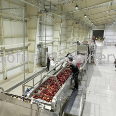 380V 50Hz Apple Jam / Juice Production Line ประหยัดน้ํา 2t/h