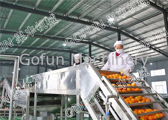 HPP Citrus Processing Line / 440V โรงงานแปรรูปมะนาวใช้งานง่าย