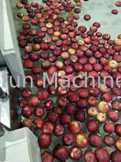มาตรฐานอาหาร SUS 304 สายการผลิตแอปเปิ้ล สายการผลิตน้ำผลไม้สกัดเย็น