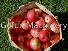สายการผลิตแอปเปิ้ล 3T / H สำหรับการอุ่นพืชน้ำผลไม้ให้เสร็จ