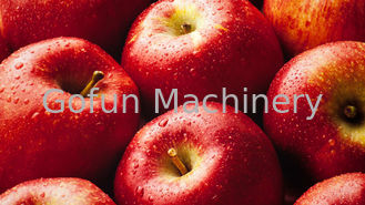 โครงการแบบครบวงจรของสายการผลิต Apple Jam การประหยัดพลังงานการประหยัดพลังงานน้ำ