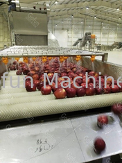 10 T / H Apple Jam Making Machine สายการแปรรูปผลไม้อัตโนมัติ 15kw