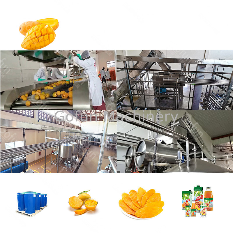 10T/H Mango Processing Line 440V Puree Processing Line รองรับการทำงานที่ยืดหยุ่น